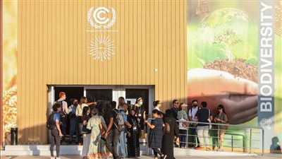 مصر.. مطالب بتوسيع مشاركة المجتمع المدني في مواجهة القضايا المناخية والبيئية 