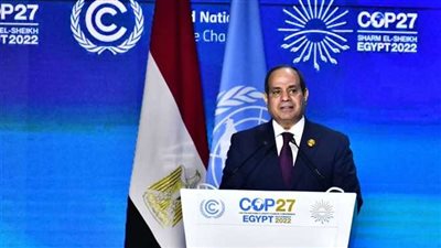 مصر.. الكشف عن أسباب دعوة الرئيس السيسي لوقف الحرب الروسية الأوكرانية