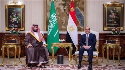خبير: العالم يحتاج للنموذج المصري السعودي في مكافحة التغير المناخي وإنقاذ كوكب الأرض
