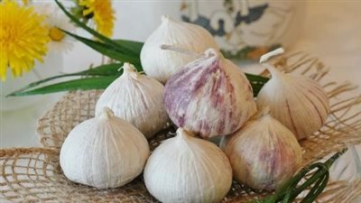 هل الثوم مفيد للذبحة الصدرية؟.. صديق القلب الأول لهذه الأسباب