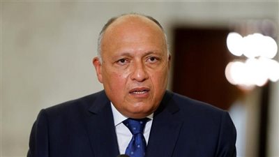 على هامش كوب 27.. وزير الخارجية المصري يلتقي بمبعوث روسيا لشؤون المناخ