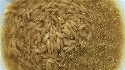 دراسة حديثة: لسان العصفور يحد من أمراض القلب