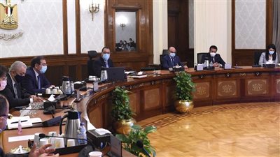 برلماني: توجه مصر للتحول الأخضر ضروري لمواجهة تغير المناخ| صور