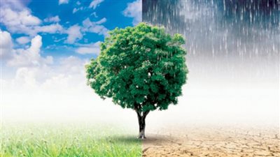 بسبب موجات الطقس الحار.. كيف أصبح تغير المناخ أبرز أعداء الوجود الإنساني؟