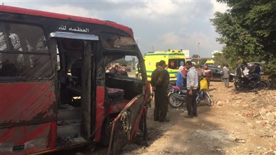 مصر.. إشادة بجهود 