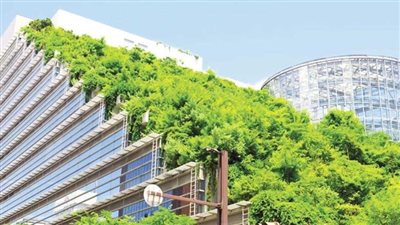  مصر تواصل إطلاق المبادرات الخضراء عبر مبادرة المدن المستدامة