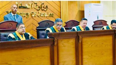 تأجيل النظر في قضية موظف حرض ضد الجيش والشرطة حتى أول يناير المقبل