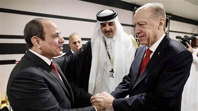 أردوغان: المباحثات مع الرئيس السيسي استمرت 40 دقيقة واتفقنا على تحسين العلاقات