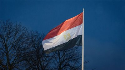 بعد نجاحه بالعاصمة.. اقتراح مصري لإطلاق مشروع 