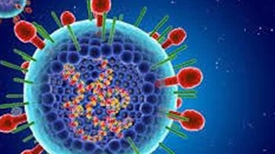 رئيس قطاع الطب الوقائي بوزارة الصحة المصرية يكشف معلومات جديدة حول 