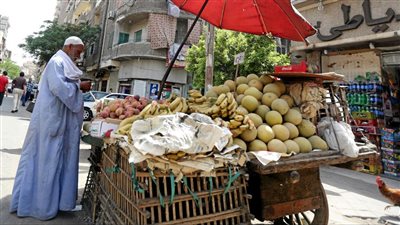 مصر.. مطالب بإنشاء قاعدة بيانات للباعة الجائلين وإصدار تراخيص لممارسة النشاط