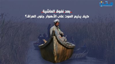 بعد نفوق الماشية.. كيف يخيم الموت على الأهوار جنوب العراق؟ 