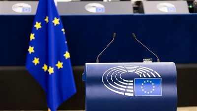 برلماني: قرار البرلمان الأوروبي عن مصر يستند لتقارير منظمات مشبوهة