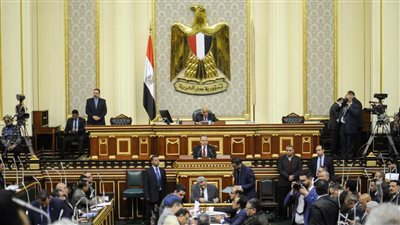 برلمانية: البرلمان الأوروبي يتبع نظرة أحادية ضد مصر تفتقر للموضوعية والحياد