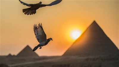 مصر.. مطالب للحكومة بعرض خطتها لمواجهة التأثير السلبي للتغيرات المناخية