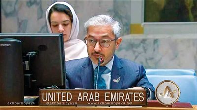 ماذا قال نائب مندوبة دولة الإمارات خلال جلسة مجلس الأمن حول القضية الفلسطينية؟
