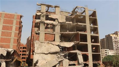 برلماني مصري: 