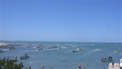 برلماني مصري: تطوير بحيرة البردويل يتكامل مع استراتيجية تنمية سيناء ويزيد من دخل الصيادين