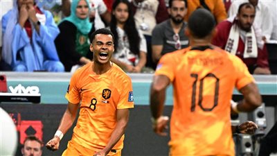 كأس العالم 2022.. هولندا تتصدر المجموعة الأولى بالفوز على قطر