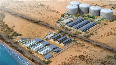 مصر تدعو القطاع الخاص لإقامة مشروعات لـ 