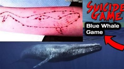 تستهدف الأطفال والمُراهقين.. ما هي أصل قصة لعبة الحوت الأزرق؟