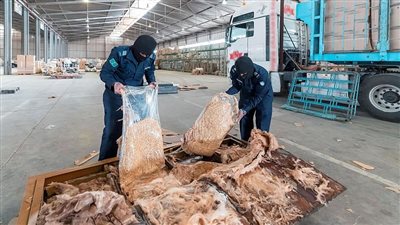 السعودية.. إحباط محاولتي تهريب أكثر من 2،4 مليون حبة كبتاجون