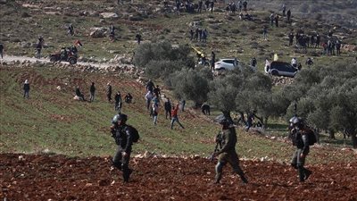 فلسطين.. مستوطنون يعتدون على الفلسطينيين شمال الضفة الغربية