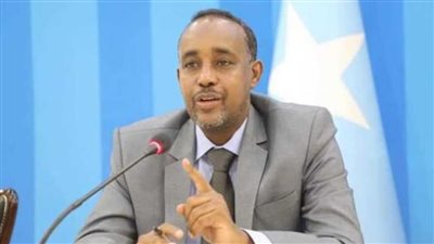 رئيس الوزراء الصومالي يلتقي بوزيرة التنمية الدولية النرويجية