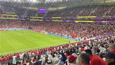 اللجنة المنظمة لكأس العالم تكشف عدد 