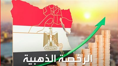 برلماني مصري: تفعيل الرخصة الذهبية يساهم في تذليل العقبات أمام المستثمرين ويدعم المنتج المحلي