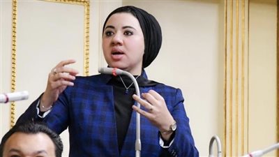 برلمانية مصرية: الأضرار الناتجة عن التغيرات المناخية لاتفرق بين غني وفقير.. والتشريع القانوني له أهمية كبيرة (فيديو)