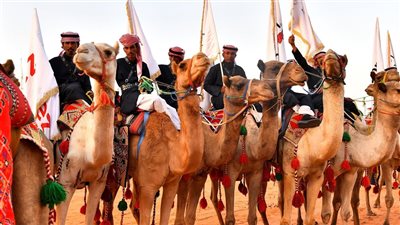 بعدما تصدر التريند.. كيف يحمل مهرجان الملك عبدالعزيز للإبل موروثًا أصيلًا وتاريخًا عريقًا؟