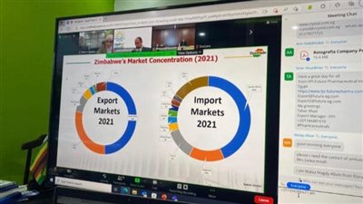 السفارة المصرية في هراري تنظم اجتماعًا افتراضيًا بين مجتمعي رجال الأعمال في مصر وزيمبابوي 