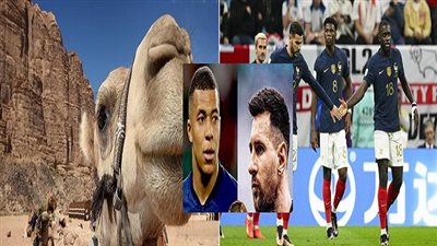 الأرجنتين ضد فرنسا.. 