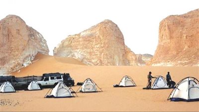 مصر.. اقترح بإطلاق مشروع لإحياء سياحة السفاري وتحسين البنية التحتية الخاصة به