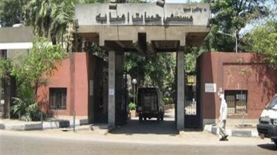 مصر.. طلب إحاطة برلماني بشأن تأخر افتتاح معهد الكبد بإمبابة