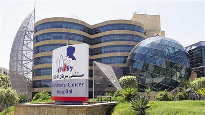 برلماني مصري يدشن حملة باتحاد الصناعات للتبرع لمستشفى 57357