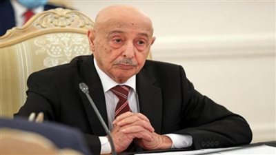 البرلمان الليبي يدعو مجلس الدولة لاستئناف الحوار (الاهداف)