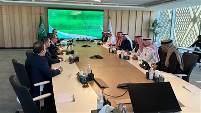 عاجل.. مباحثات مصرية سعودية لتحقيق الأمن الدوائي للشعوب العربية