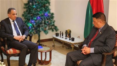 سفير مصر بمدغشقر يلتقي رئيس مجلس الشيوخ الملجاشي 