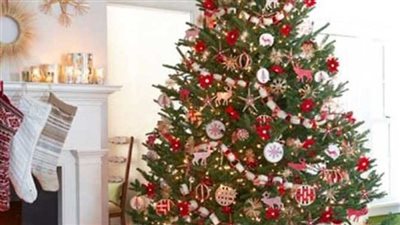 When is christmas share.. ما هي جذور شجرة الكريسماس؟ (معلومات جديدة)