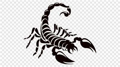 حظك اليوم برج العقرب الأحد 25ـ12ـ2022..