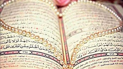 تردد قناة الشارقة الفضائية 2023 الجديد (تحديث)