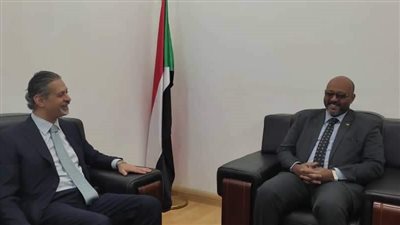 سفير مصر لدى السودان يلتقي وزير النقل السوداني المكلف