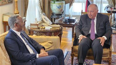 سامح شكري يستقبل وزير الشئون الخارجية والتعاون الدولي الصومالي