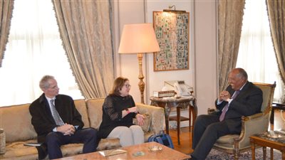 وزير الخارجية يستقبل مدير عام القوة متعددة الجنسيات