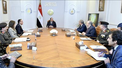 السيسي يوجه الحكومة بأن يكون سعر توريد محصول القمح مجزيًا للمزارعين 