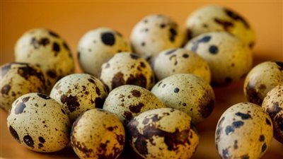 القصة الكاملة حول طرح بيض سمان بـ20 جنيها للكرتونة فى منفذ وزارة الزراعة المصرية بالدقي