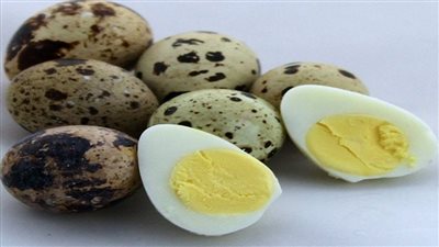 فوائد لا تعرفها حول بيض السمان