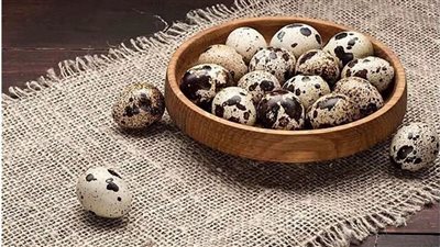 أسعار بيض السمان في وزارة الزراعة المصرية